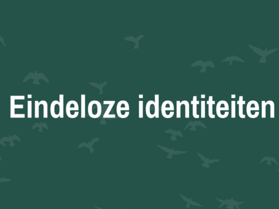 Eindeloze identiteiten